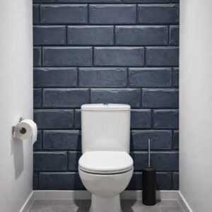 Toilettes modernes avec mur en briques bleues